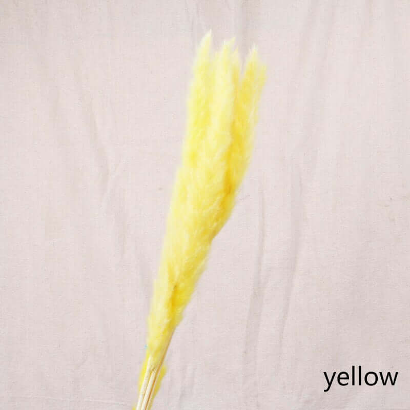 Dried Reed Flower Decor