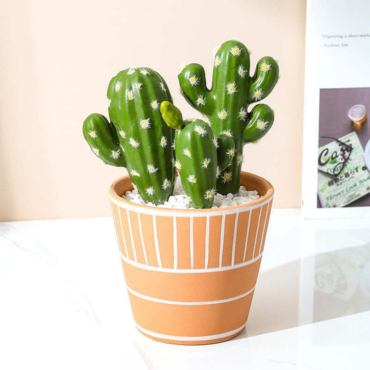 Elegant Mini Room Decor