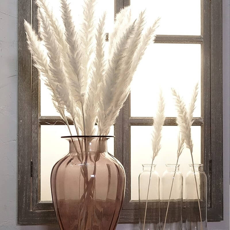 Dried Reed Flower Decor