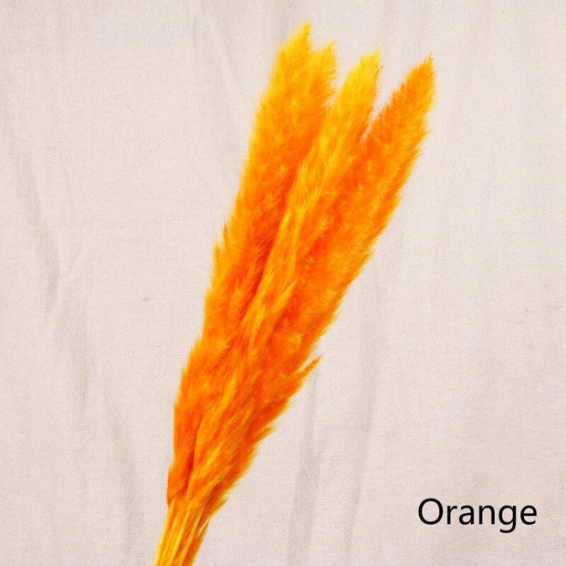 Dried Reed Flower Decor
