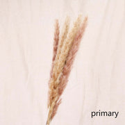 Dried Reed Flower Decor