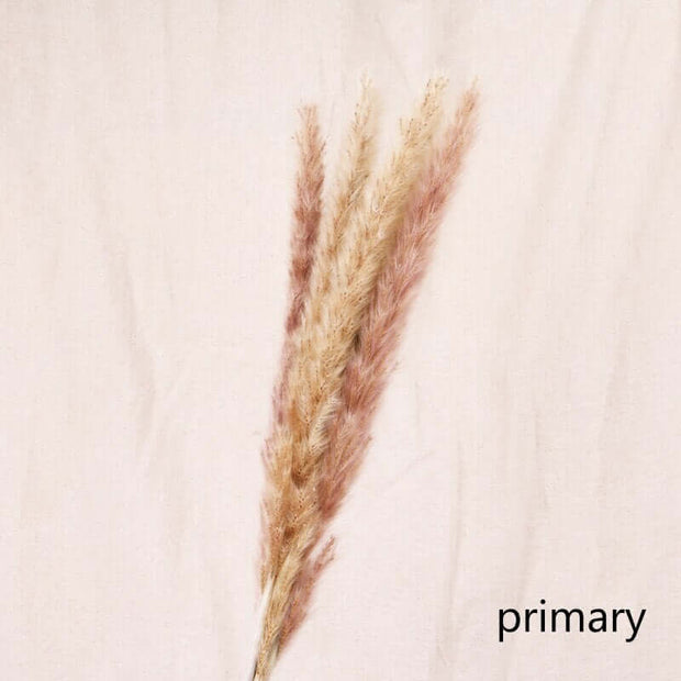 Dried Reed Flower Decor