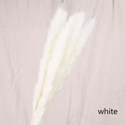 Dried Reed Flower Decor