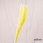 Dried Reed Flower Decor